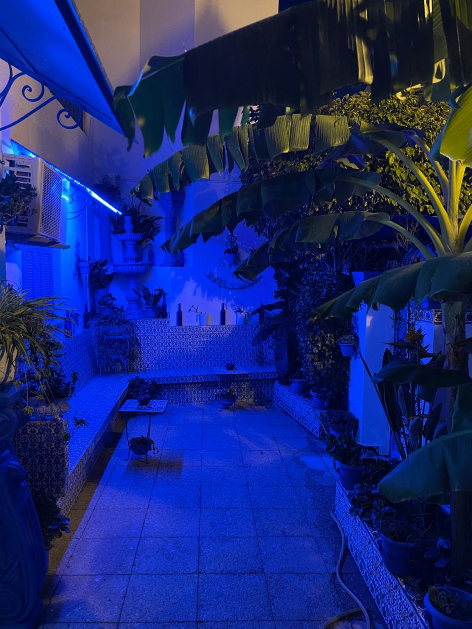 הוילה סידי בו סעיד The Blue And White Perle מראה חיצוני תמונה