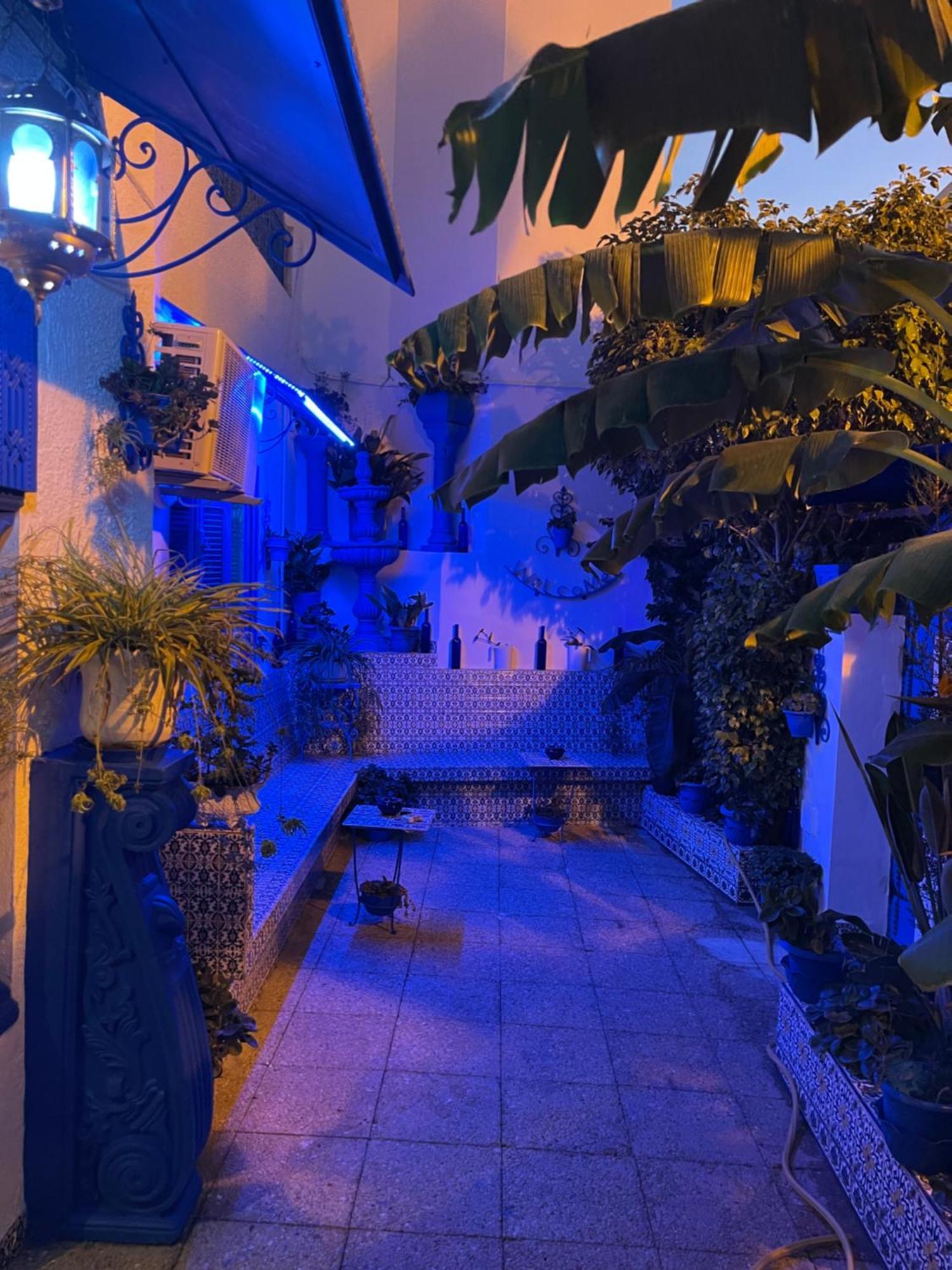 הוילה סידי בו סעיד The Blue And White Perle מראה חיצוני תמונה